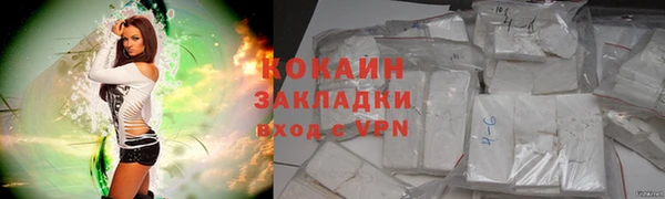 гашик Белокуриха
