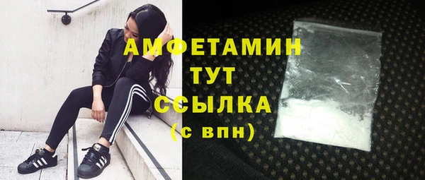 гашик Белокуриха