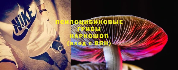гашик Белокуриха