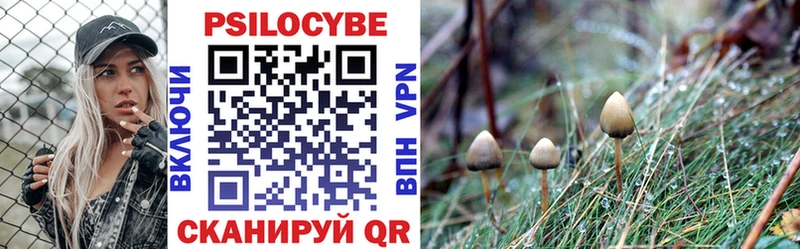Псилоцибиновые грибы Magic Shrooms  Дубовка 